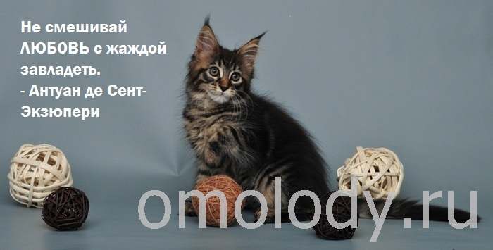 Цитаты о любви