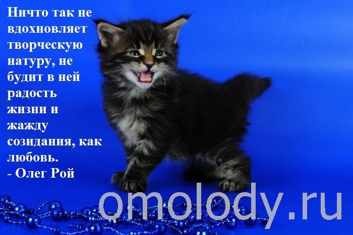 цитаты о любви