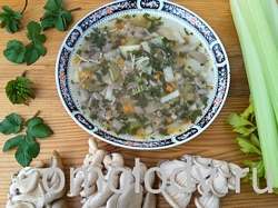 Вегетарианский вермишелевый суп со снытью и грибами Вешенками