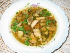 vegetarian, dill