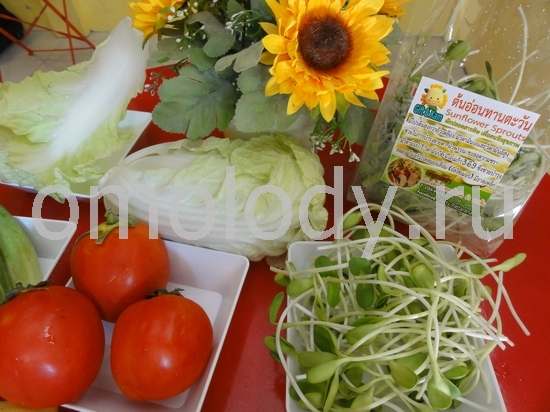 Sunflowers seeds sprouts with cedar nuts